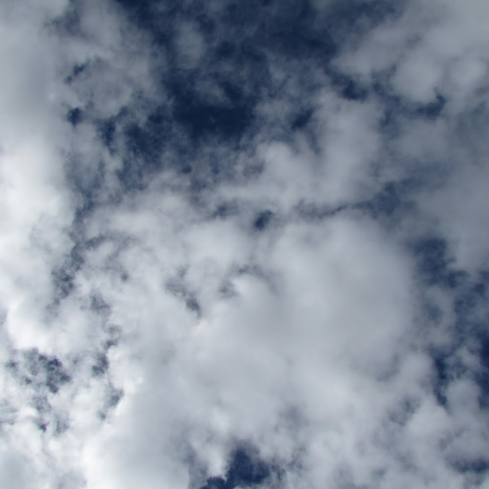 Meet your Posher, Laurel